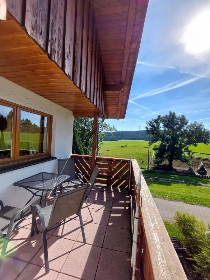 Urlaub An Der Grenze Διαμέρισμα Lauterbach  Εξωτερικό φωτογραφία