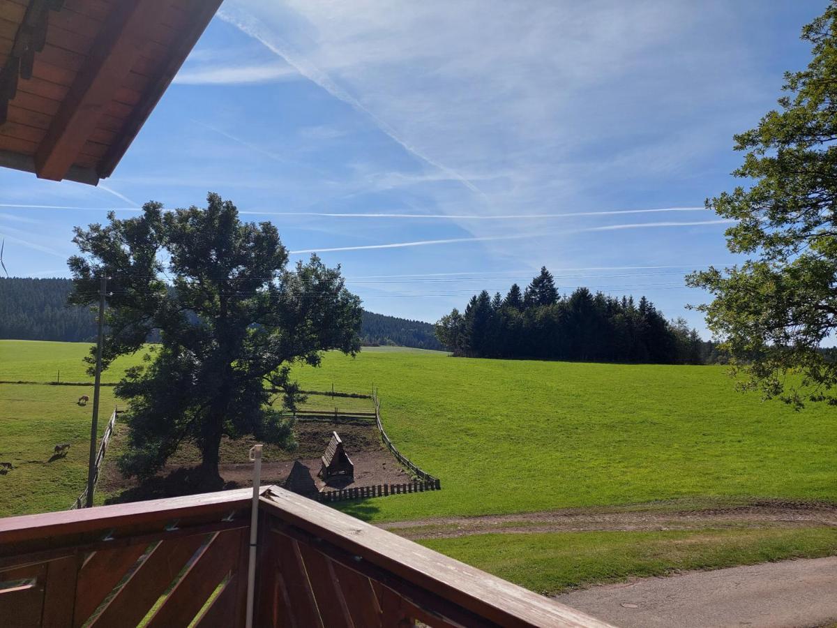 Urlaub An Der Grenze Διαμέρισμα Lauterbach  Εξωτερικό φωτογραφία