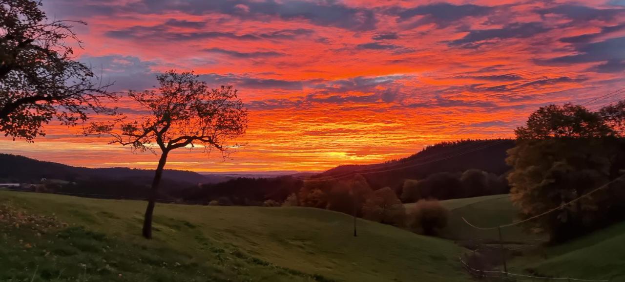 Urlaub An Der Grenze Διαμέρισμα Lauterbach  Εξωτερικό φωτογραφία