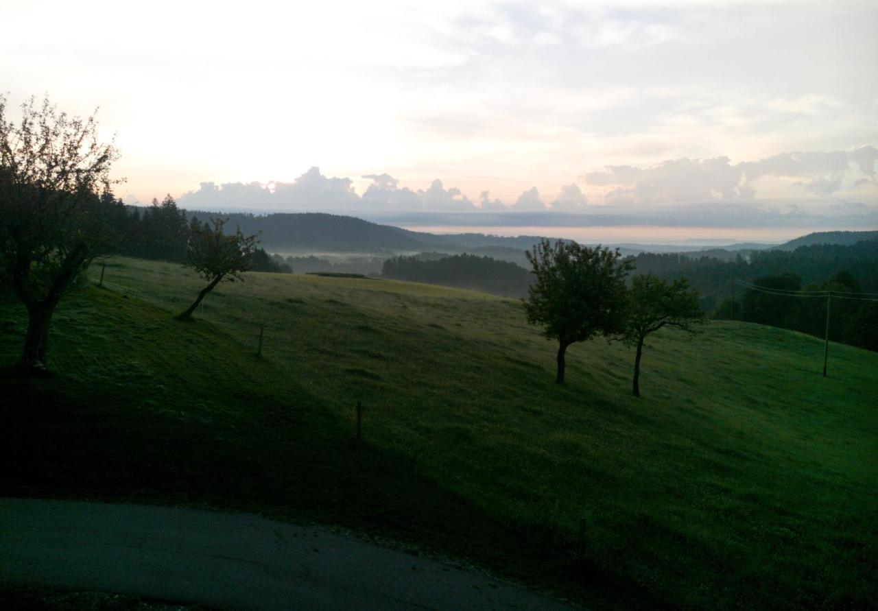 Urlaub An Der Grenze Διαμέρισμα Lauterbach  Εξωτερικό φωτογραφία